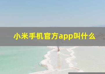 小米手机官方app叫什么