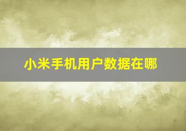 小米手机用户数据在哪