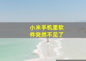 小米手机里软件突然不见了