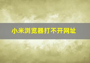 小米浏览器打不开网址