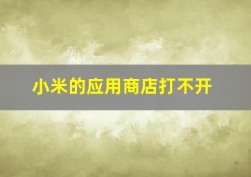 小米的应用商店打不开