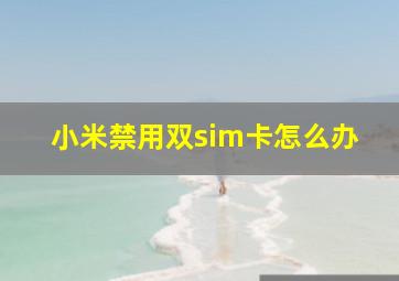 小米禁用双sim卡怎么办