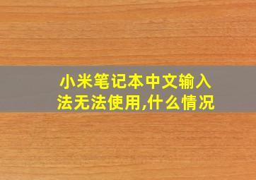 小米笔记本中文输入法无法使用,什么情况