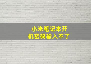 小米笔记本开机密码输入不了