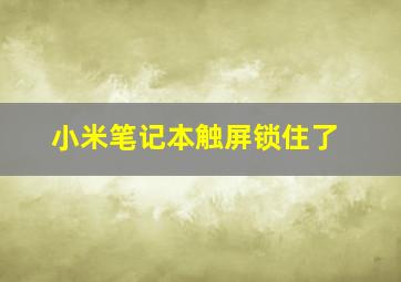 小米笔记本触屏锁住了