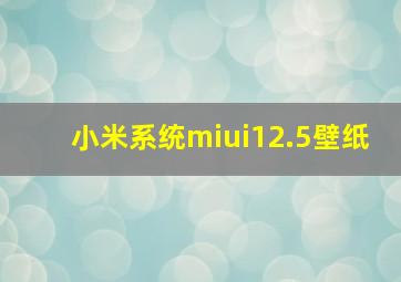 小米系统miui12.5壁纸