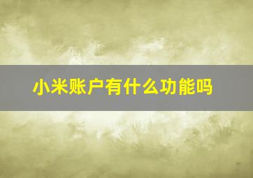 小米账户有什么功能吗