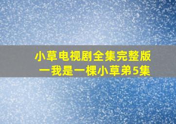 小草电视剧全集完整版一我是一棵小草弟5集