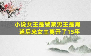 小说女主是警察男主是黑道后来女主离开了15年