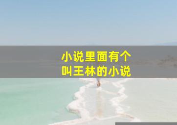 小说里面有个叫王林的小说