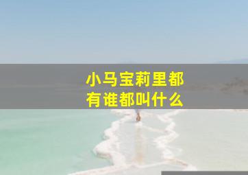 小马宝莉里都有谁都叫什么