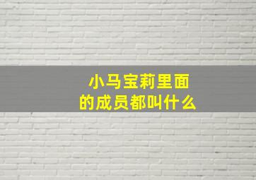 小马宝莉里面的成员都叫什么