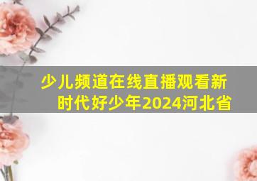 少儿频道在线直播观看新时代好少年2024河北省