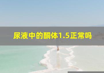 尿液中的酮体1.5正常吗