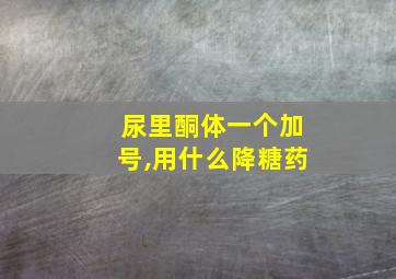 尿里酮体一个加号,用什么降糖药