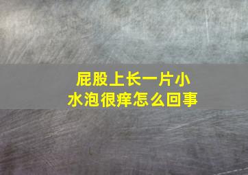 屁股上长一片小水泡很痒怎么回事