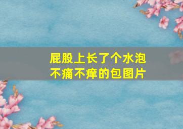 屁股上长了个水泡不痛不痒的包图片