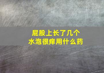 屁股上长了几个水泡很痒用什么药