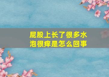 屁股上长了很多水泡很痒是怎么回事