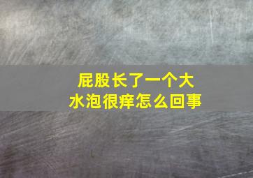 屁股长了一个大水泡很痒怎么回事