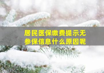 居民医保缴费提示无参保信息什么原因呢