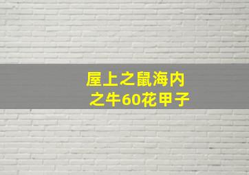 屋上之鼠海内之牛60花甲子