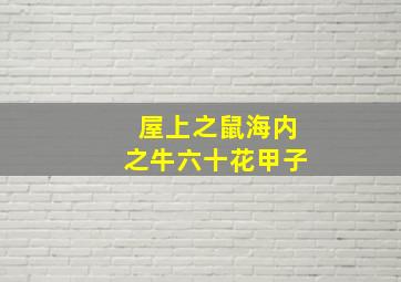 屋上之鼠海内之牛六十花甲子