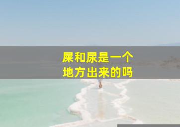 屎和尿是一个地方出来的吗