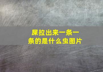 屎拉出来一条一条的是什么虫图片