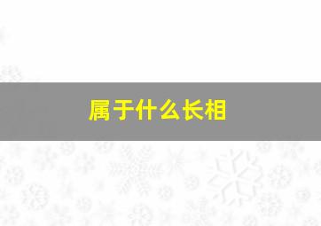 属于什么长相