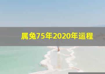 属兔75年2020年运程