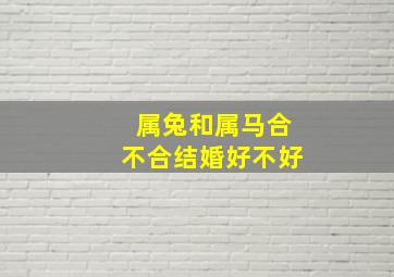 属兔和属马合不合结婚好不好