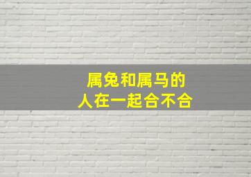 属兔和属马的人在一起合不合