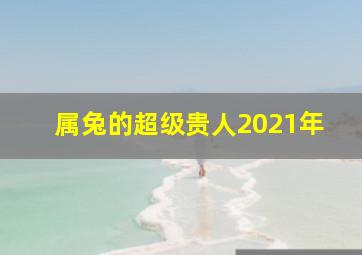 属兔的超级贵人2021年