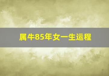 属牛85年女一生运程