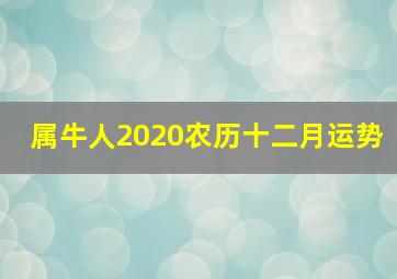 属牛人2020农历十二月运势