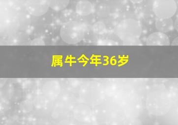 属牛今年36岁