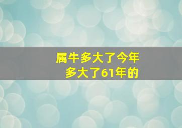 属牛多大了今年多大了61年的