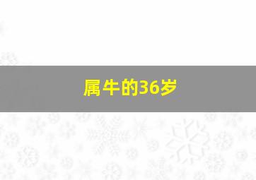 属牛的36岁