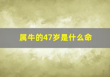 属牛的47岁是什么命