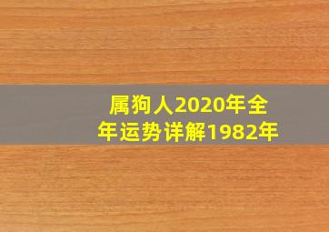 属狗人2020年全年运势详解1982年