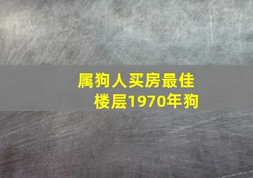 属狗人买房最佳楼层1970年狗