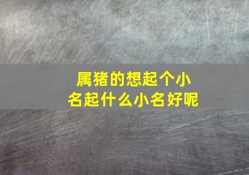 属猪的想起个小名起什么小名好呢