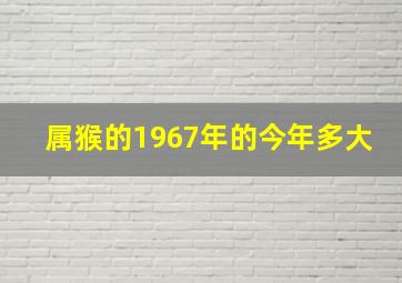 属猴的1967年的今年多大