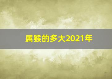 属猴的多大2021年