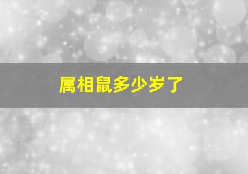 属相鼠多少岁了