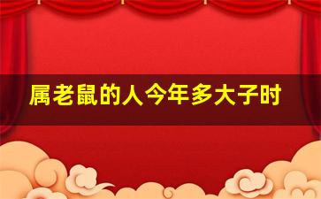 属老鼠的人今年多大子时