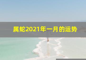 属蛇2021年一月的运势