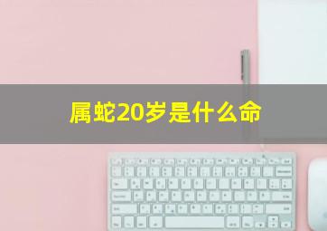 属蛇20岁是什么命