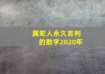 属蛇人永久吉利的数字2020年